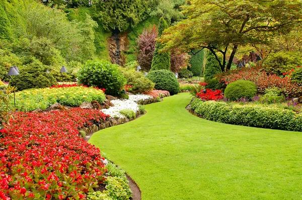 The Surprising Charm of Summer Garden Flags